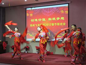 2017飛龍醫(yī)療春節(jié)聯(lián)歡會開場舞