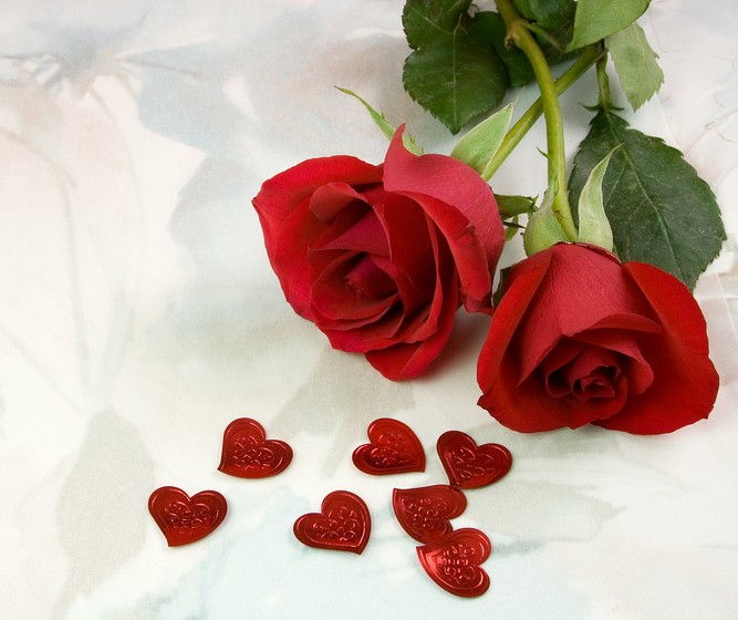 無償獻血 無償獻血