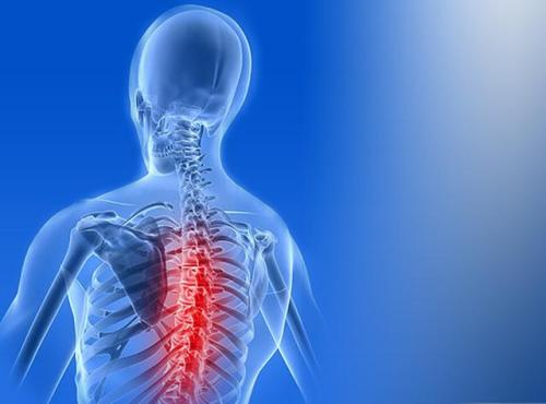 脊椎神經(jīng) 脊椎神經(jīng)