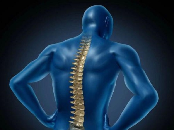 脊柱健康 脊柱健康