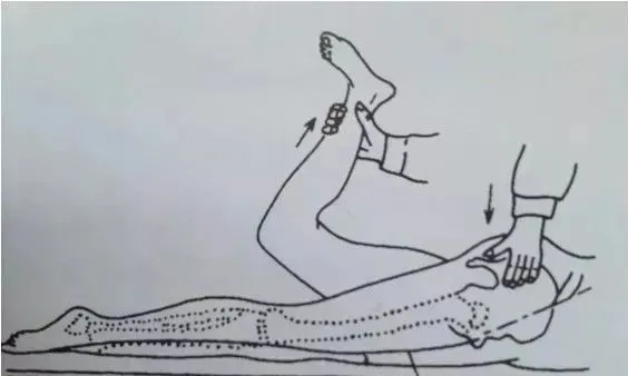 股神經(jīng)牽拉試驗 股神經(jīng)牽拉試驗