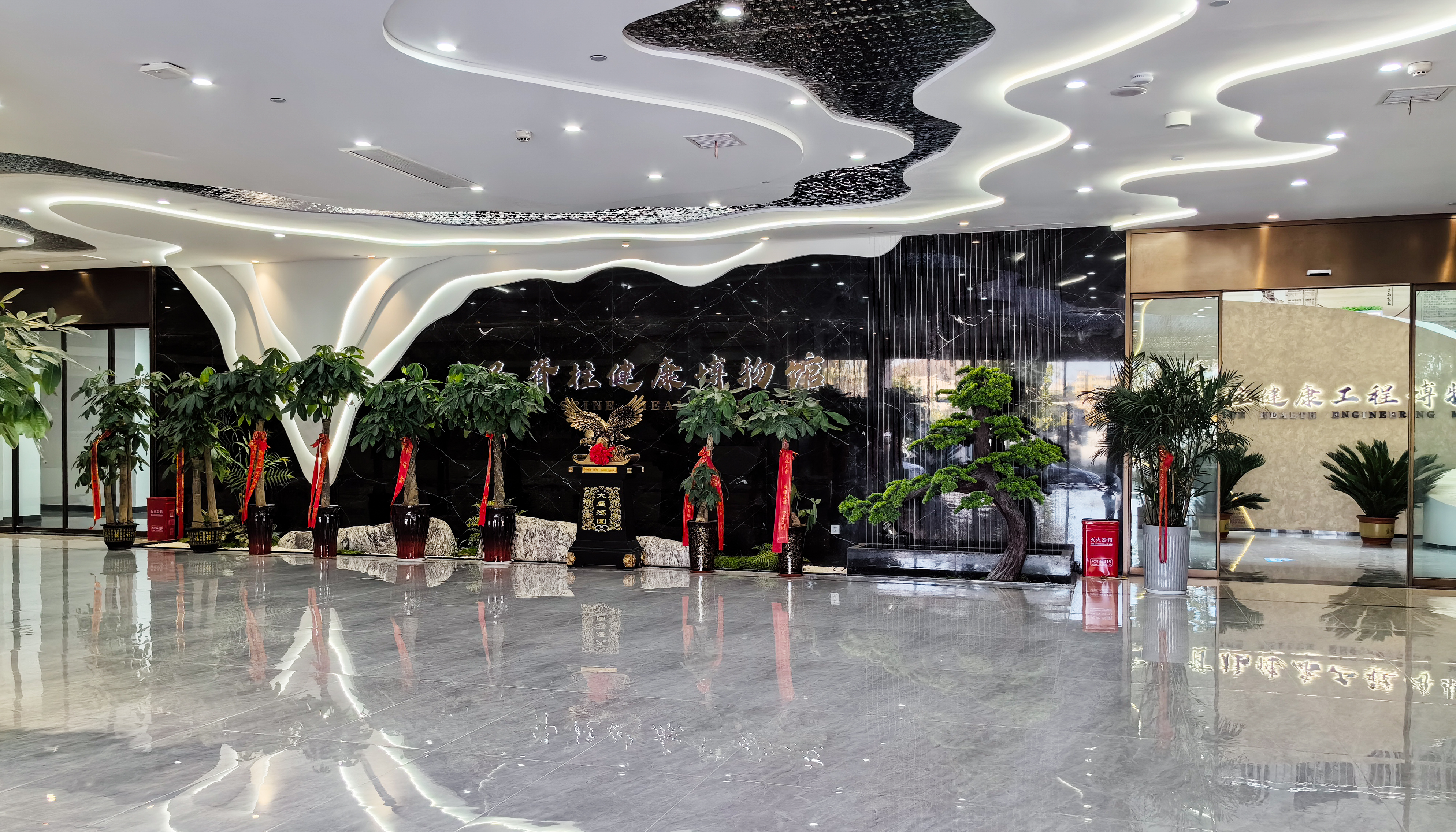 飛龍醫(yī)療全民脊柱博物館 飛龍醫(yī)療全民脊柱博物館